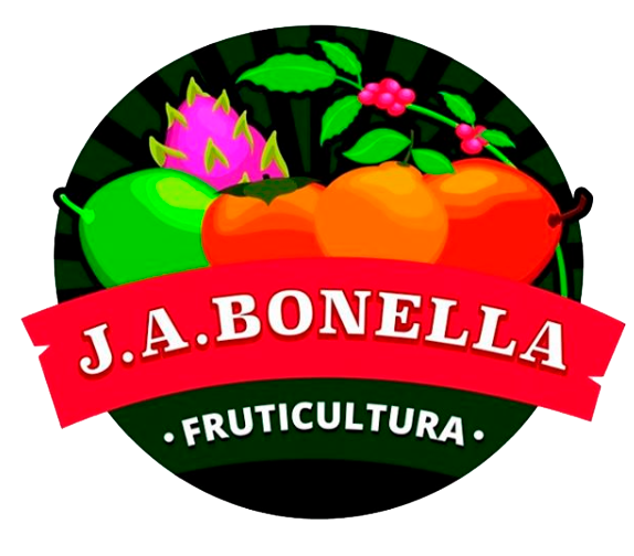 J. A. Bonella
