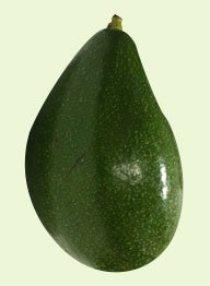 Abacate Geada