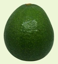 Abacate Margarida