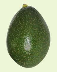 Abacate Ouro Verde