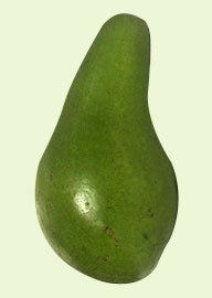 Abacate Quintal
